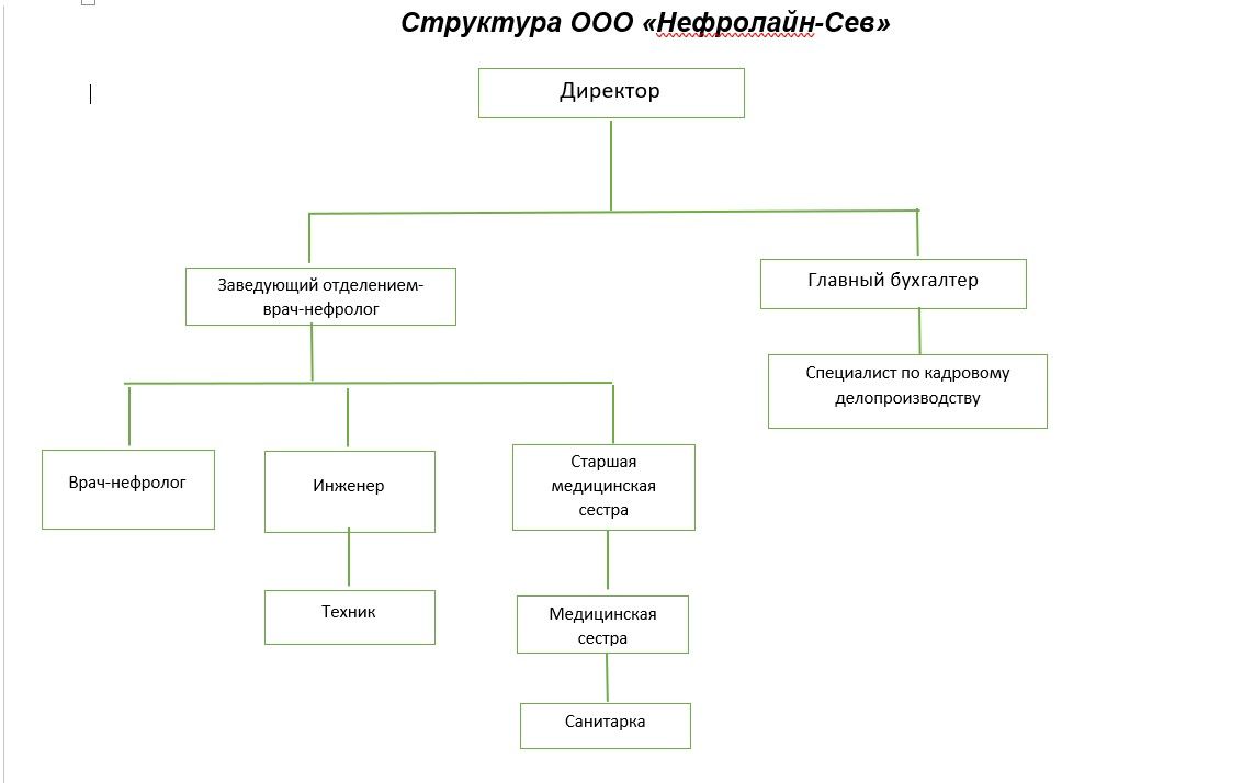 Структура организации